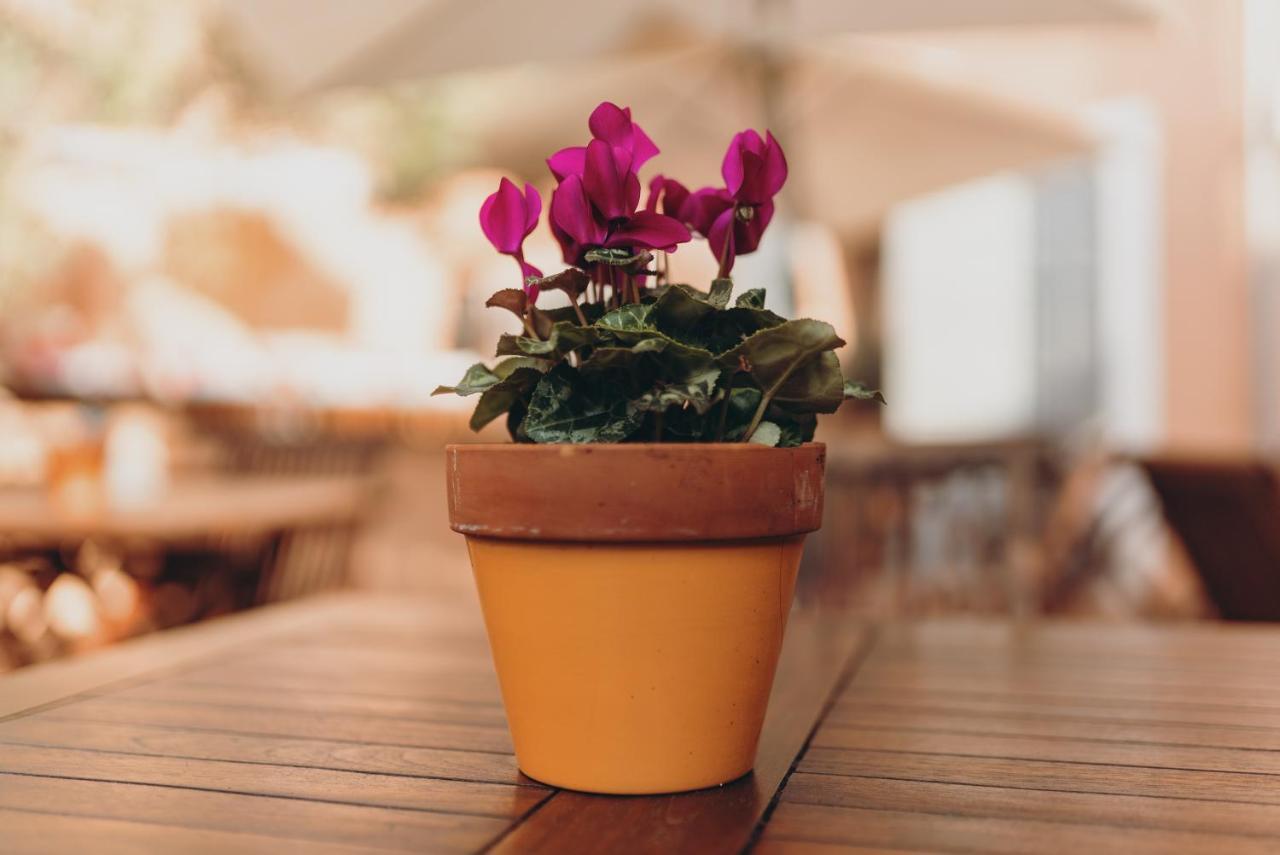 Hotel Serrete Sineu (Mallorca)